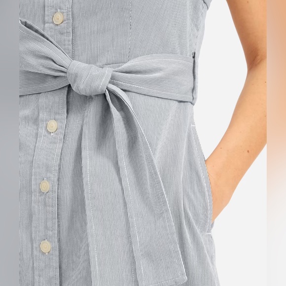 Everlane Picnic Dress 4 in pinstripe - Picture 3 of 8